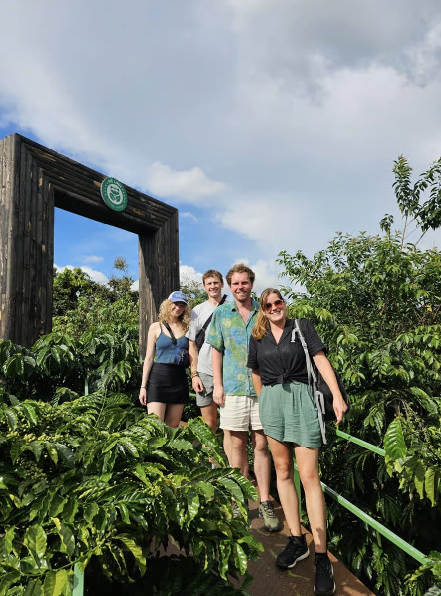 Dalat: Three Waterfalls Small Group Tour - Alpine Coaster 9