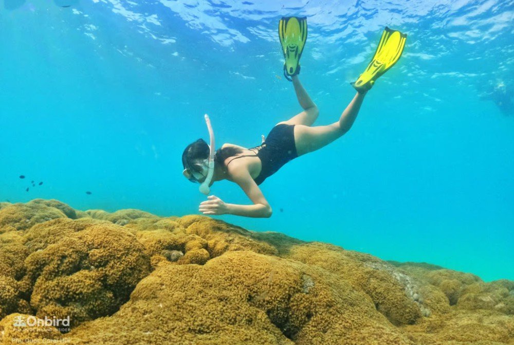 South Phu Quoc: Professional Speedboat Snorkeling Tour - Maximum 10 people 9
