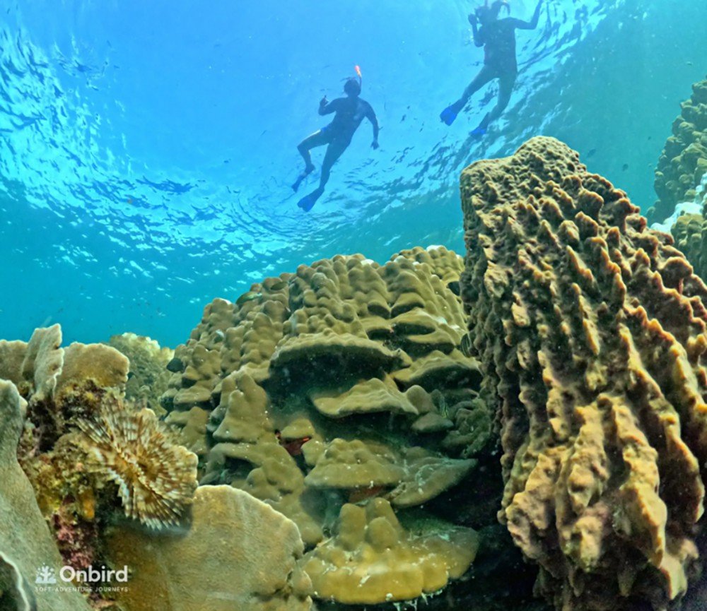 Phu Quoc: Snorkeling route through 4 islands and 2 reefs by speedboat 1
