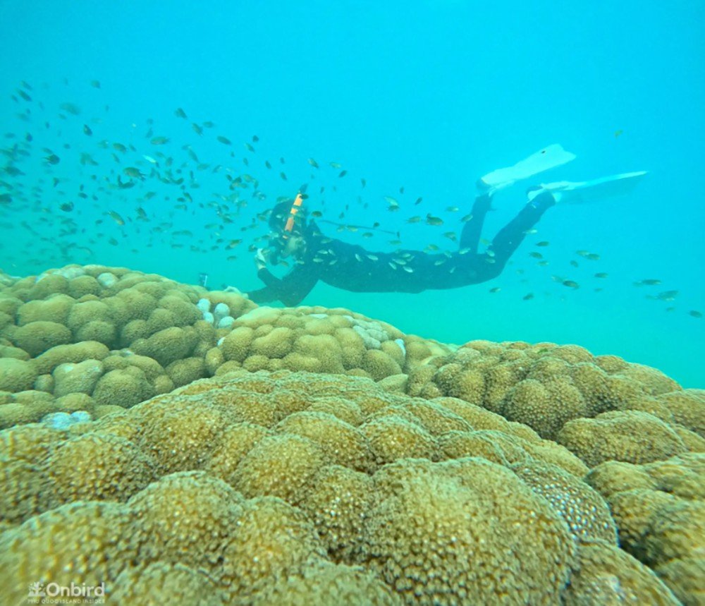 Phu Quoc: Snorkeling route through 4 islands and 2 reefs by speedboat 7