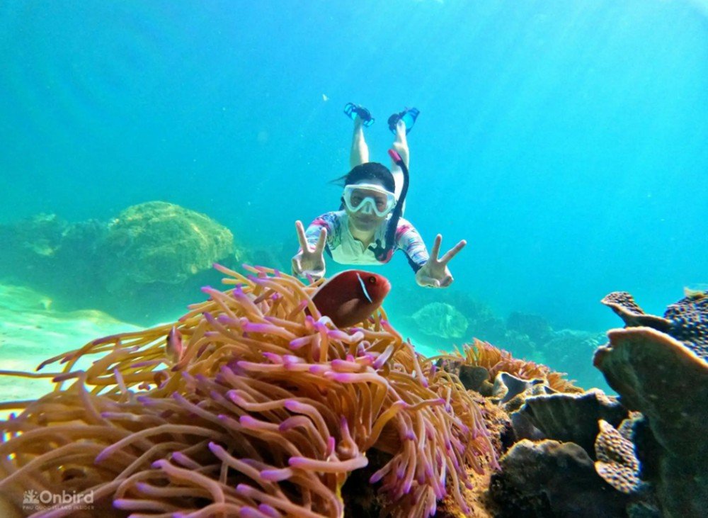Phu Quoc: Snorkeling route through 4 islands and 2 reefs by speedboat 9